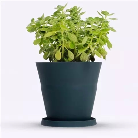 硅膠制品