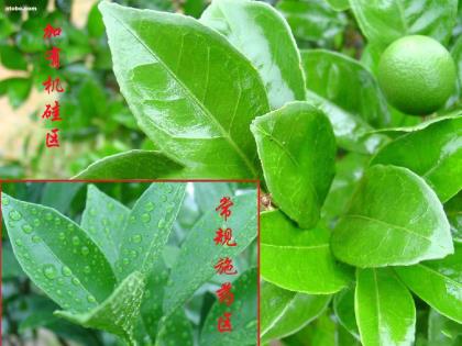 硅膠制品廠